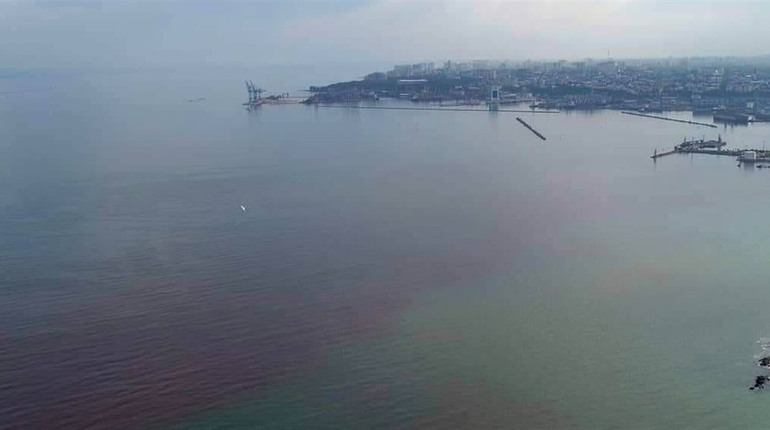 Чорне море в Одесі стало червоним: чи це небезпечно для вашого здоров'я