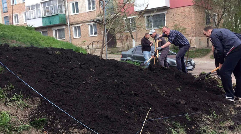 Глухівська влада пропонує висаджувати креативні квітники дизайнерам-любителям. Дізнайтеся деталі