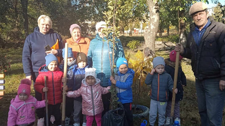 У Смілі на території дитсадку висадили садженці яблунь