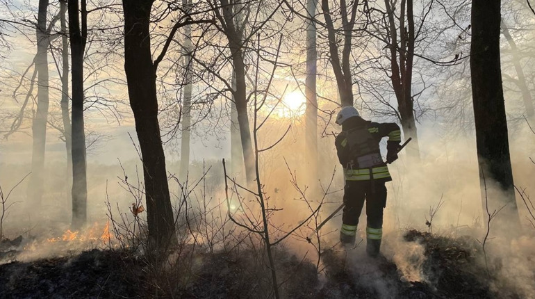 16 пожеж за три місяці. Що загрожує жителям Сумщини за випалювання сухої трави?