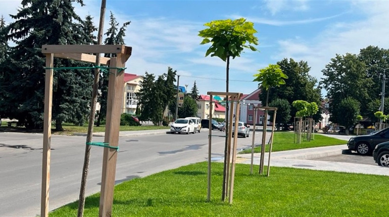 У Барі на найближчі дні прогнозують теплу погоду, але трохи дощову