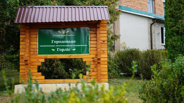 День лісника на Городоччині: якими були здобутки ГСЛП «Горліс» у 2022, 2023 та 2024 роках