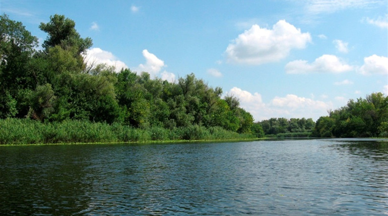 Воду з Унави дослідили в лабораторії: купатися у річці не можна