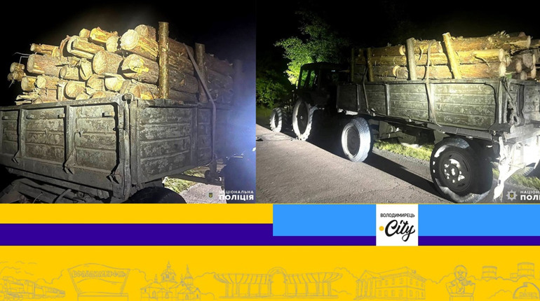 Житель Великих Цепцевич попався на перевезенні незаконної деревини