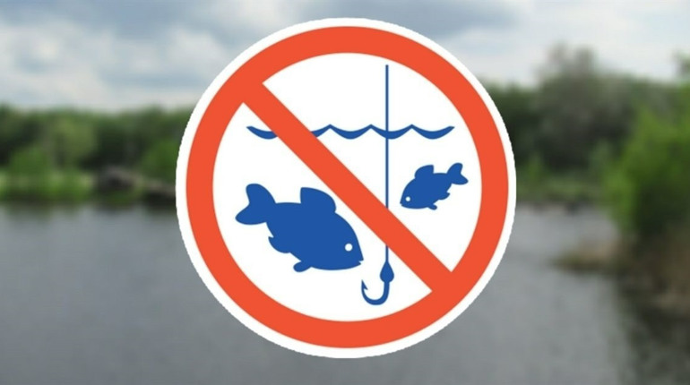 На Сумщині з 1 листопада заборонено вилов водних біоресурсів на зимувальних ямах