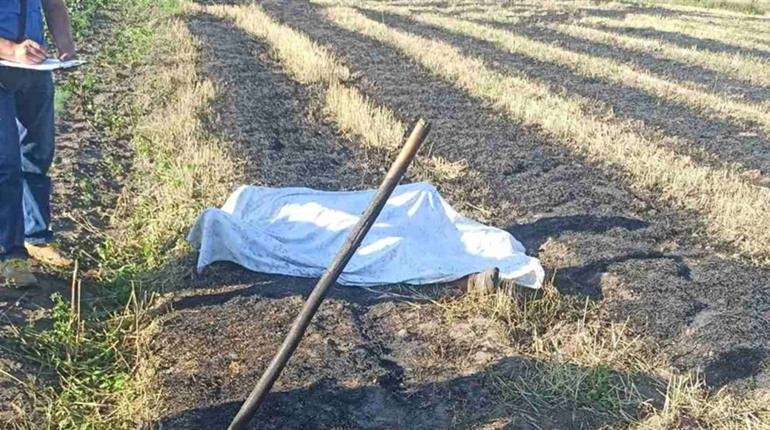 На присадибній ділянці виявили обгоріле тіло жінки 1943 року народження