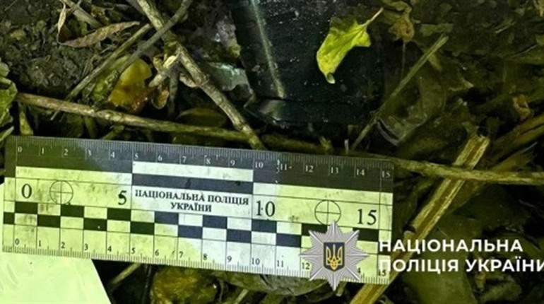 Поцілив в око знайомій дівчині з пневматики. У Первомайську на пляжі затримали юнака