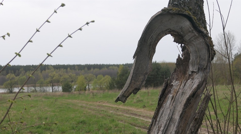 Неподалік Глухова дослідники встановили місце поховання засновника Харківського університету