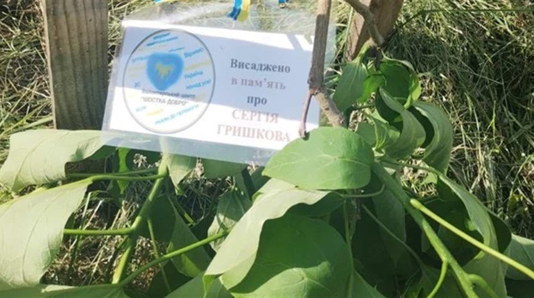 У Шостці понівечили дерево пам'яті про загиблого воїна