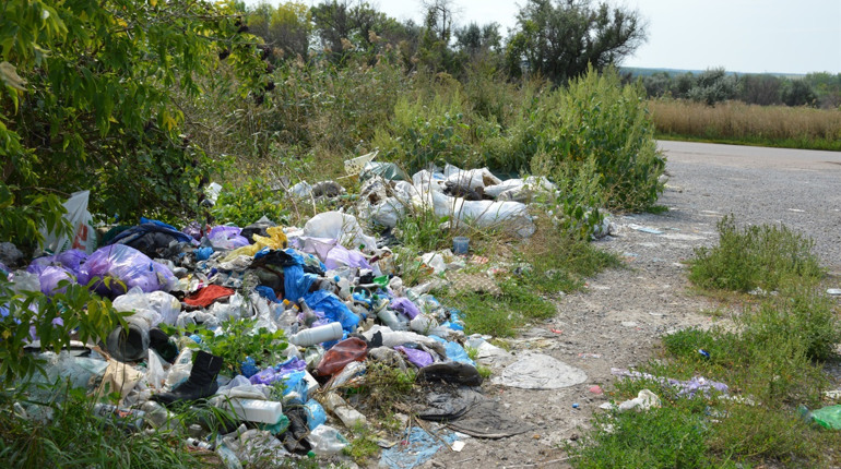 Лісосмуги навколо Сватового потопають у смітті. Як з цим боротися: думки сватівчан (+відео)