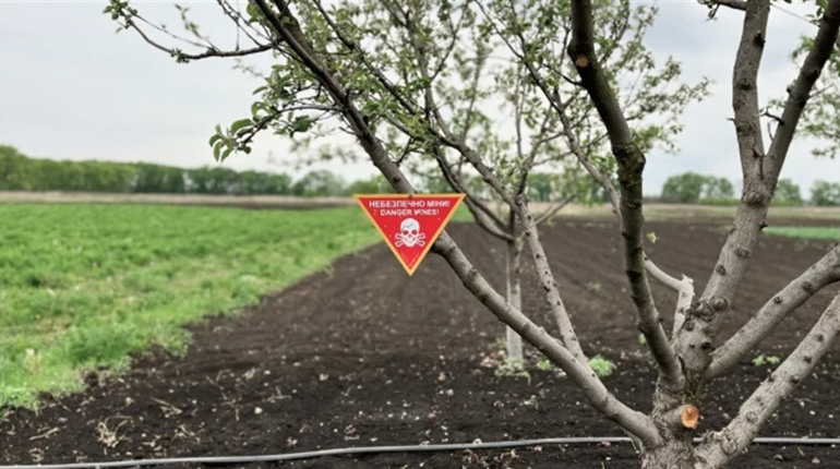 На Херсонщині чоловік підірвався на вибухівці, коли пас худобу