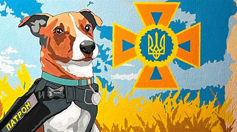 На Нікопольщині відкрили Клас безпеки для школярів: як виглядає та що там розповідають дітям