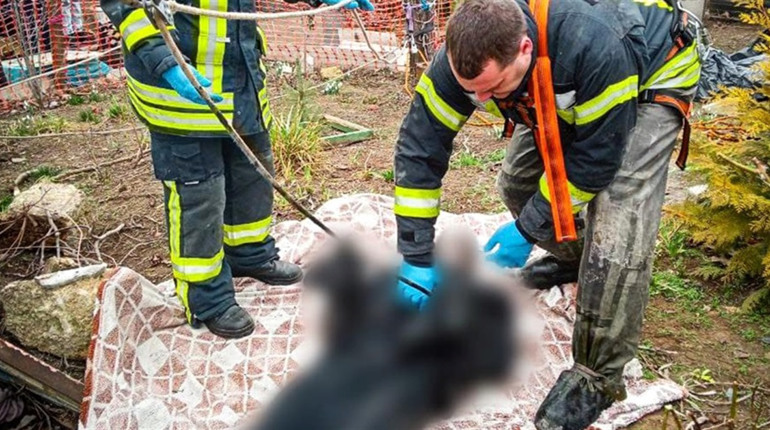 В селі Нерубайської громади знайшли тіло чоловіка у колодязі власного будинку