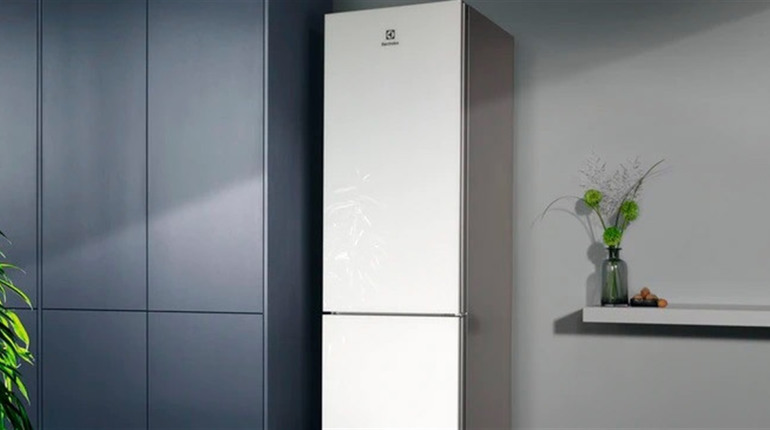 Холодильник Electrolux RRC 5ME38W2: детальний опис моделі