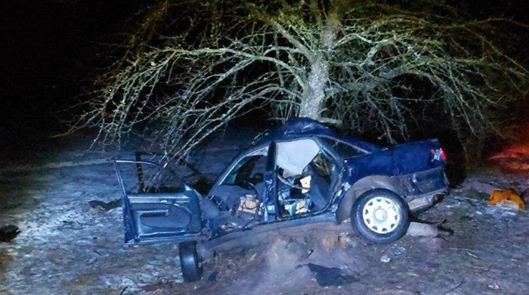 Вирішили покататися: у ДТП загинув неповнолітній водій