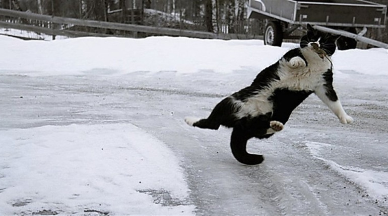 Погода на лівобережжі Херсонщини з 1 по 3 лютого: прогноз Українського гідрометеоцентру