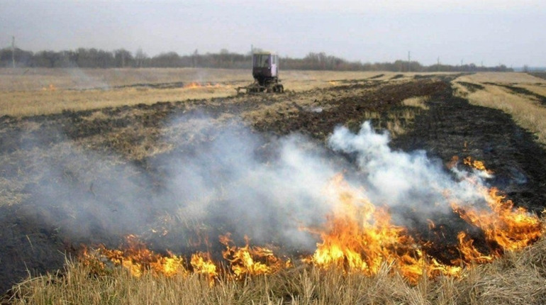 Скільки пожеж на Фастівщині виникли через підпали сухих рослин: інформація за тиждень