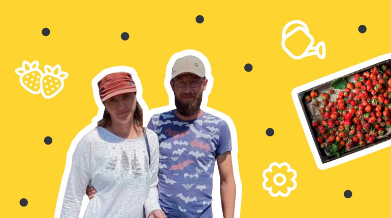 У супермаркеті таку не купиш: родина Сергієнків з Біляївки вирощує органічну полуницю