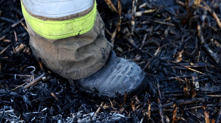 В Україні з початку року — понад 3 тисячі пожеж в екосистемах: є загиблі та травмовані