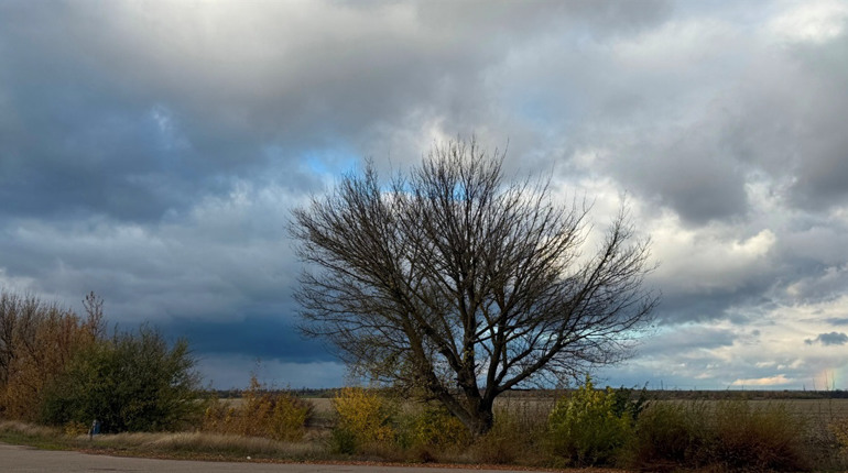 Що цікавого в листопаді: календар свят на третій місяць осені у 2025