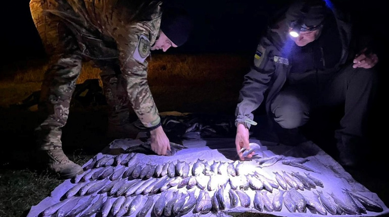 Наловив камбали і кефалі на 8 млн грн: на Одещині спіймали браконьєра