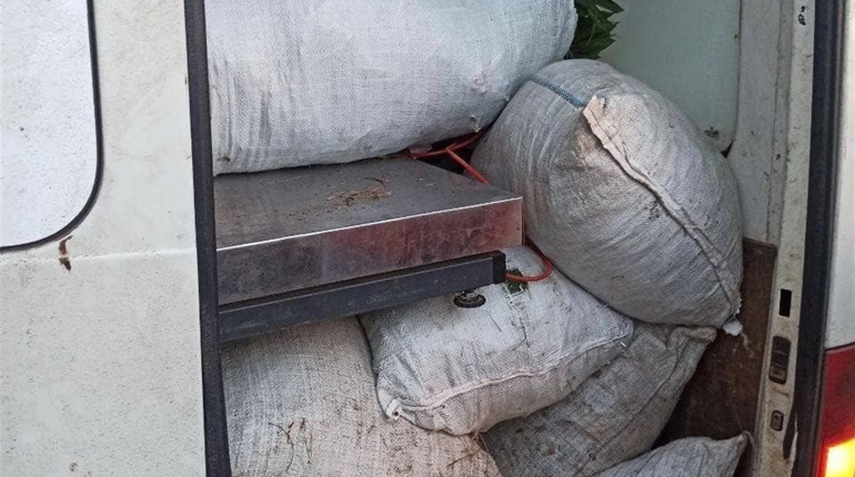 У Сарнах патрульні зупинили водія, який перевозив червонокнижну рослину