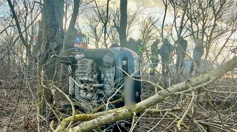 Через велику швидкість водійка допустила з'їзд автомобіля з дороги. Постраждала її матір та діти
