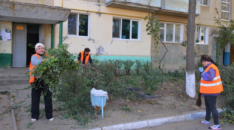 Територію ОСББ "Дністровські зорі" не впізнати: там боролися з хащами кущів та заростями дерев