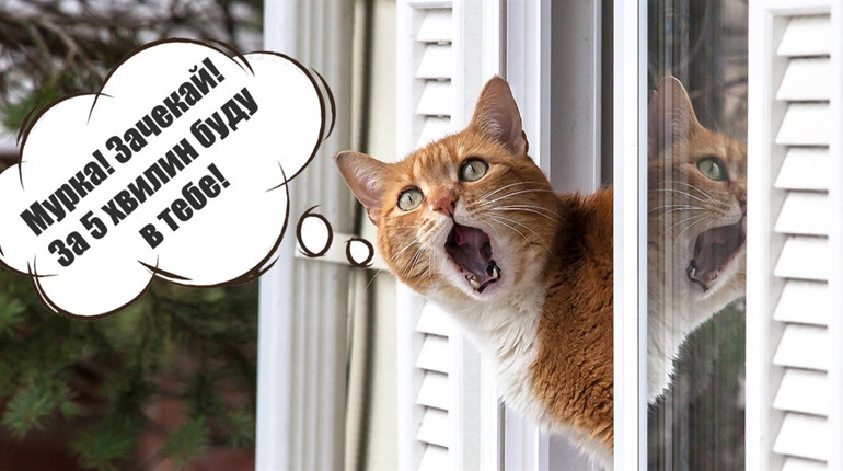 Останній ранок зими буде туманним: прогноз погоди на Сумщині та в Україні