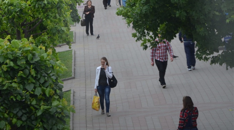 5 молодих підприємців Жмеринки віком до 25 років: онлайн-голосування