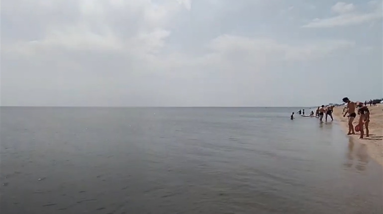 А ось і медузи: дивіться відео зі Стрілкового. Тільки лякатись непотрібно — їх небагато