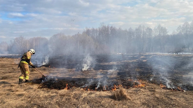 У Глухові рятувальники тричі гасили пожежі в екосистемах через загоряння сухої трави