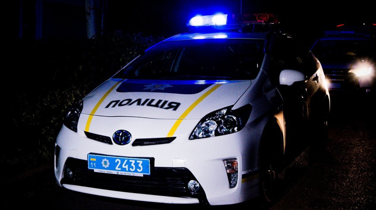 Блукали вночі: на Фастівщині поліцейські повернули додому 4-річних близнюків