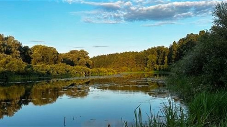 Вода в Десні: результати останніх досліджень в межах Шосткинської громади