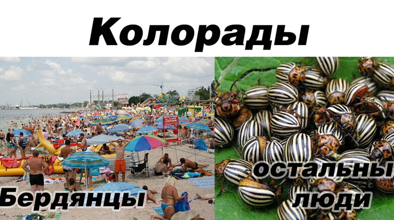 Как видят мир бердянцы и все остальные
