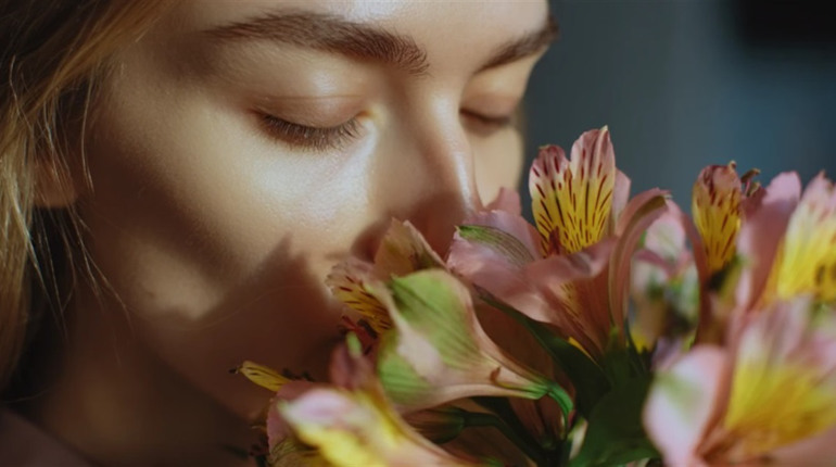 Альстромерія: скільки стоїть у вазі та чому вона одна з найстійкіших