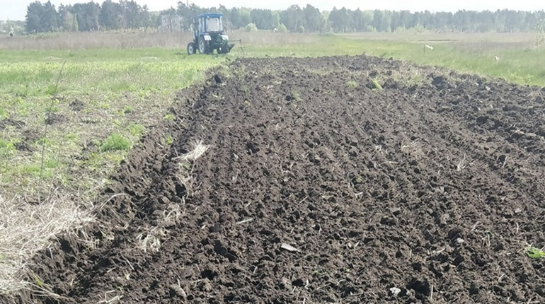 Шосткинська міська влада допомагає вимушеним переселенцям засіяти городи