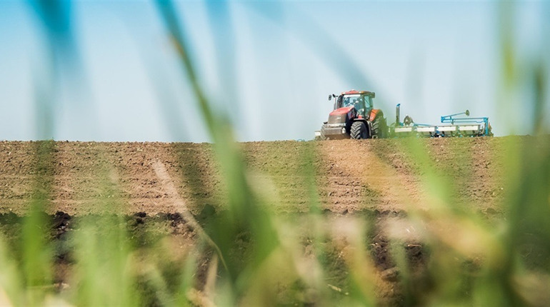 Миколаївщина серед лідерів по країні. Аграрії сіють ярі зернові: понад мільйон гектарів вже засіяно