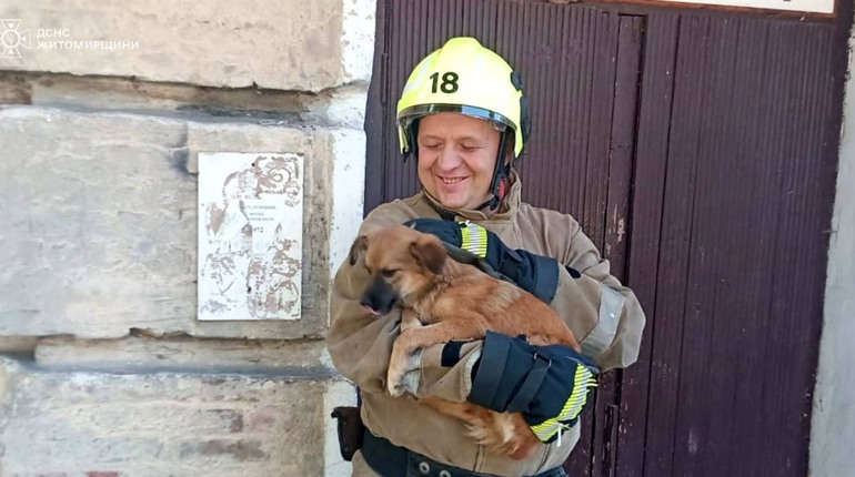 Рятувальники визволили собаку з даху триповерхівки у Звягельському районі