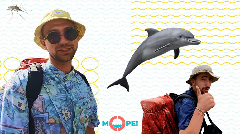Чесний аналіз українських морських курортів в “О, Море шоу” вже з 13 липня