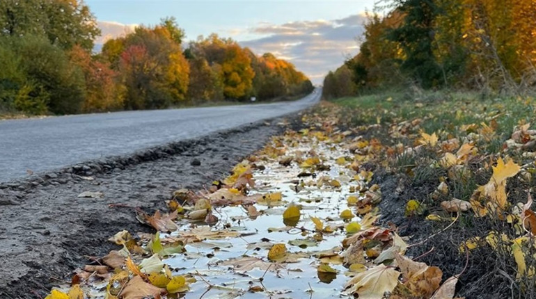Свята та пам’ятні дати листопада 2025 року — календар подій