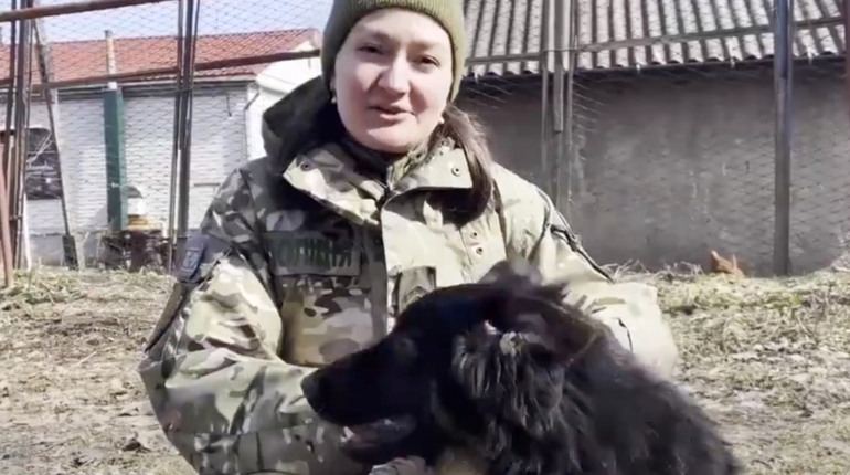 «Несуть службу сім собак»: в Глухові кінологи готують службових псів для поліції