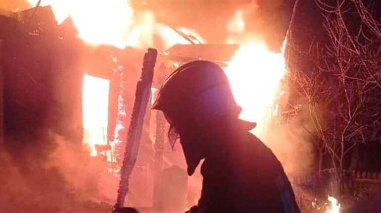 У Звягельському районі на пожежі загинула жінка