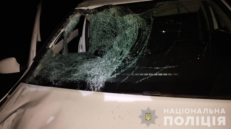 Аварія на трасі "Мерефа-Павлоград": на Лозівщині під колесами іномарки загинув пішохід