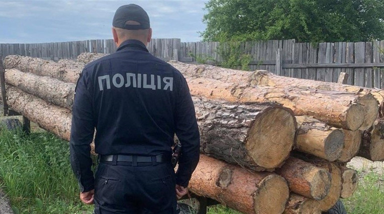 У Сарненському районі місцеві жителі крали деревину з лісгоспу: що відомо