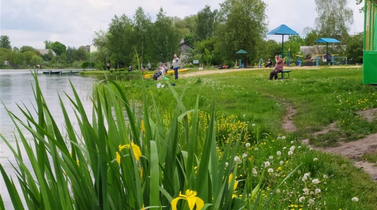 Розповідаємо про «дикі» місця купання славутчан і Славутський пляж