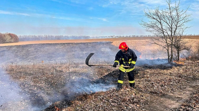 Палити чи не палити: пожежі в екосистемах на Уманщині та шкода природі. Коментарі ДСНС та еколога