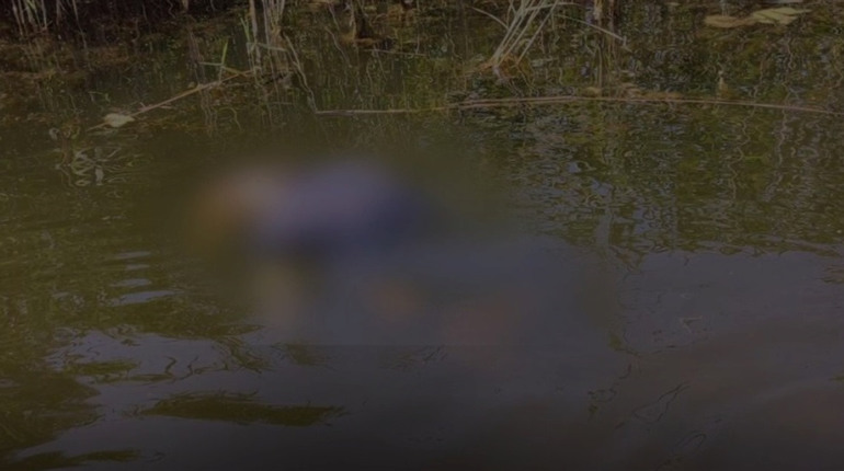 Трагічний випадок у Ніжині: у водоймі потонула 44-річна жінка