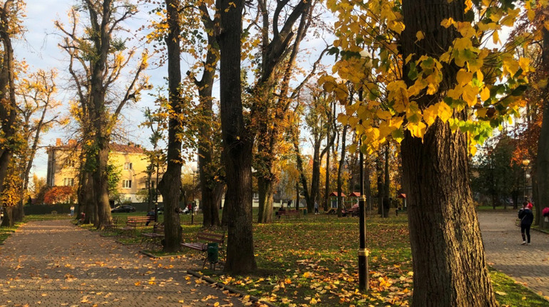 Куди вирушити в Дрогобичі на осінню фотосесію: ТОП-5 локацій