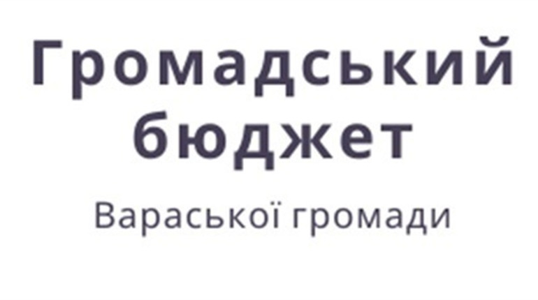 Волонтери продовжують популяризувати Громадський бюджет серед жителів громади